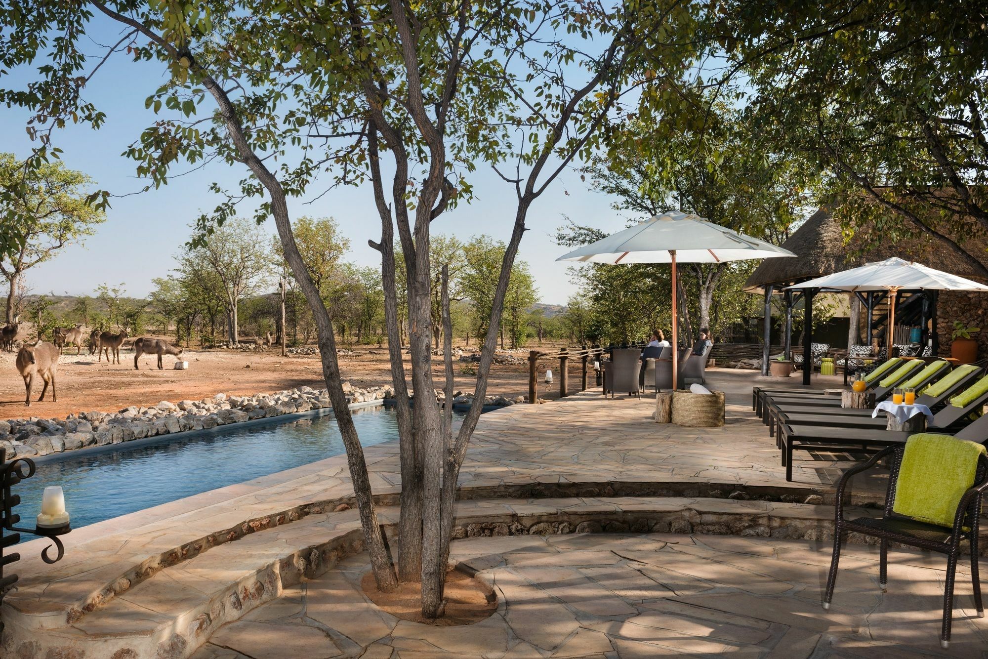 Ongava Tented Camp - All-Inclusive Okaukuejo Eksteriør bilde